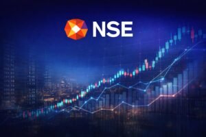 Read more about the article NSE Company Overview